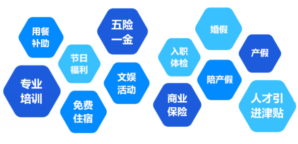 提供全面、系統(tǒng)、專業(yè)的培訓和廣闊的<br>職業(yè)發(fā)展空間和提升機會